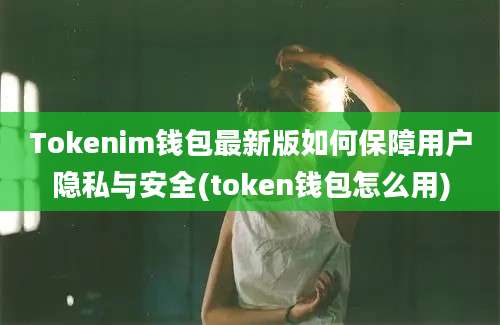 Tokenim钱包最新版如何保障用户隐私与安全(token钱包怎么用)