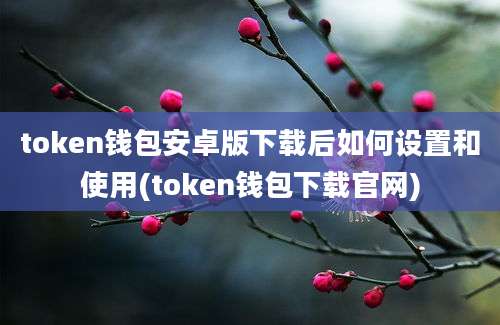 token钱包安卓版下载后如何设置和使用(token钱包下载官网)