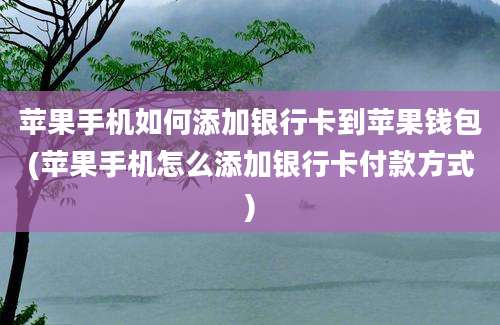 苹果手机如何添加银行卡到苹果钱包(苹果手机怎么添加银行卡付款方式)