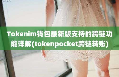 Tokenim钱包最新版支持的跨链功能详解(tokenpocket跨链转账)