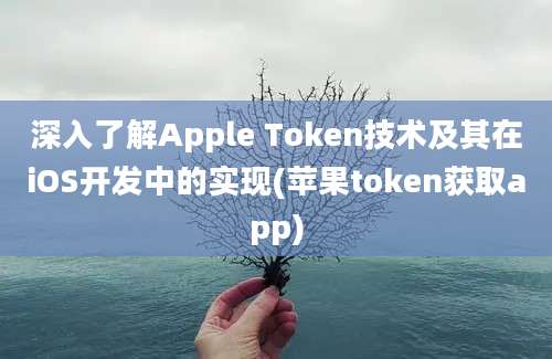 深入了解Apple Token技术及其在iOS开发中的实现(苹果token获取app)