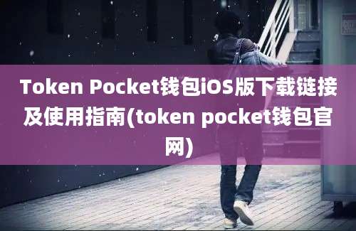 Token Pocket钱包iOS版下载链接及使用指南(token pocket钱包官网)