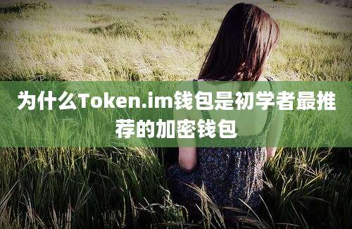 为什么Token.im钱包是初学者最推荐的加密钱包