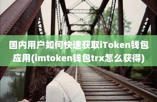 国内用户如何快速获取iToken钱包应用(imtoken钱包trx怎么获得)