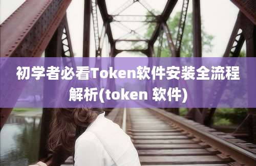 初学者必看Token软件安装全流程解析(token 软件)