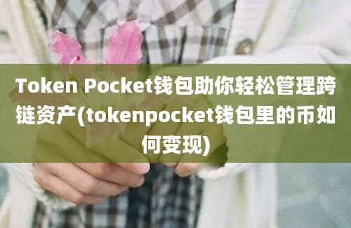 Token Pocket钱包助你轻松管理跨链资产(tokenpocket钱包里的币如何变现)