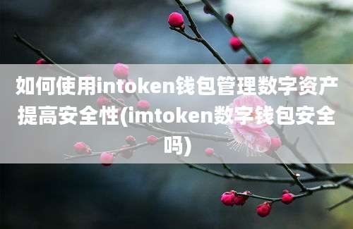 如何使用intoken钱包管理数字资产提高安全性(imtoken数字钱包安全吗)