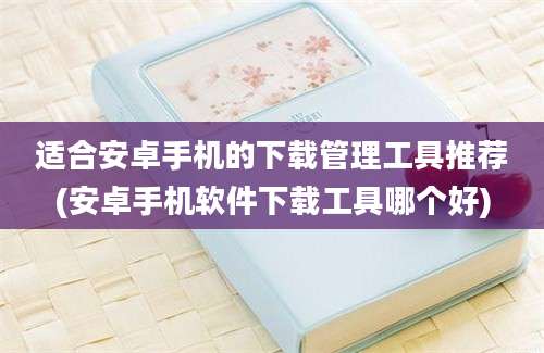 适合安卓手机的下载管理工具推荐(安卓手机软件下载工具哪个好)