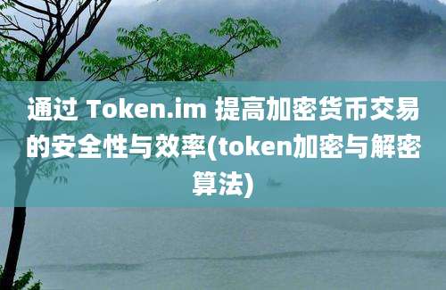 通过 Token.im 提高加密货币交易的安全性与效率(token加密与解密算法)