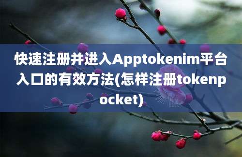 快速注册并进入Apptokenim平台入口的有效方法(怎样注册tokenpocket)