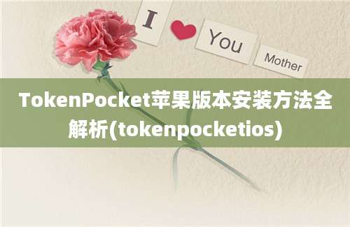 TokenPocket苹果版本安装方法全解析(tokenpocketios)