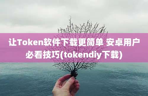 让Token软件下载更简单 安卓用户必看技巧(tokendiy下载)