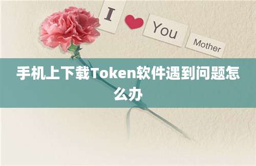 手机上下载Token软件遇到问题怎么办