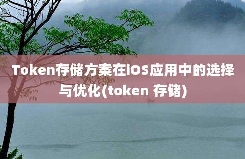 Token存储方案在iOS应用中的选择与优化(token 存储)