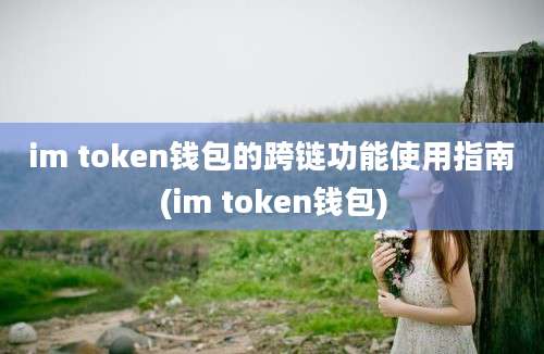 im token钱包的跨链功能使用指南(im token钱包)