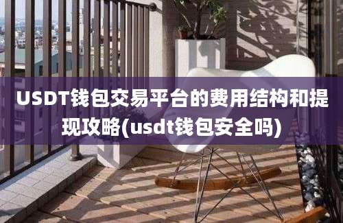 USDT钱包交易平台的费用结构和提现攻略(usdt钱包安全吗)