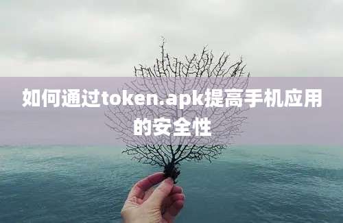 如何通过token.apk提高手机应用的安全性