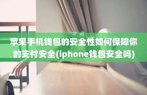 苹果手机钱包的安全性如何保障你的支付安全(iphone钱包安全吗)