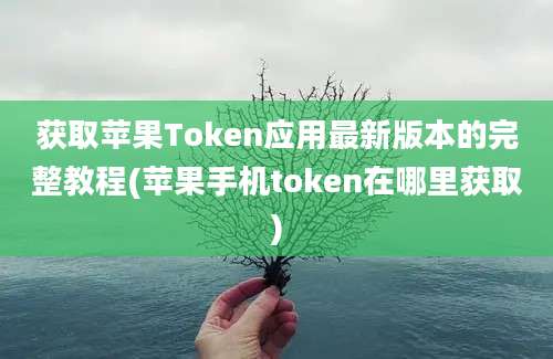 获取苹果Token应用最新版本的完整教程(苹果手机token在哪里获取)