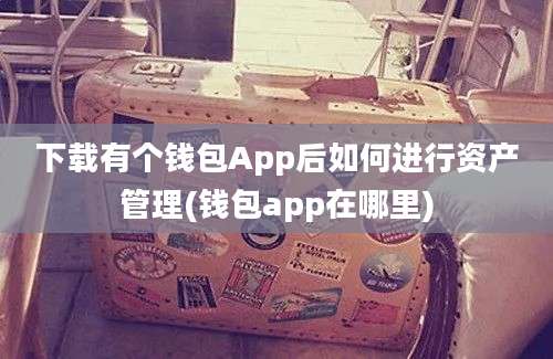 下载有个钱包App后如何进行资产管理(钱包app在哪里)