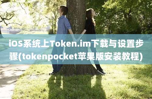 iOS系统上Token.im下载与设置步骤(tokenpocket苹果版安装教程)