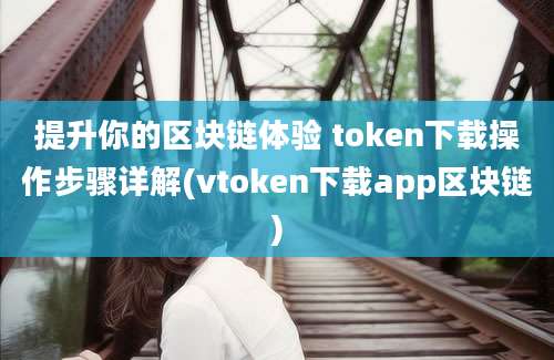 提升你的区块链体验 token下载操作步骤详解(vtoken下载app区块链)