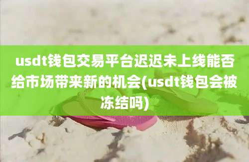 usdt钱包交易平台迟迟未上线能否给市场带来新的机会(usdt钱包会被冻结吗)