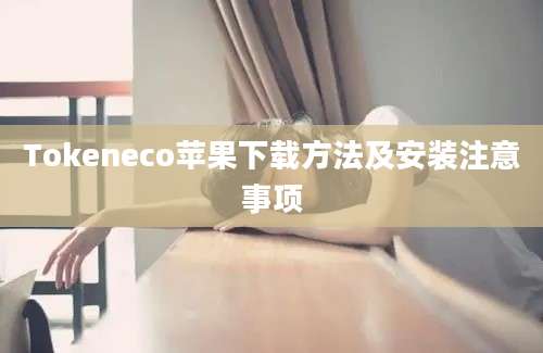 Tokeneco苹果下载方法及安装注意事项