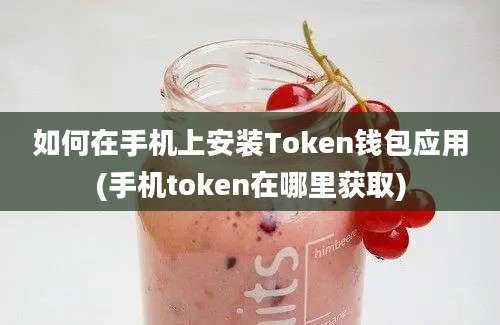 如何在手机上安装Token钱包应用(手机token在哪里获取)