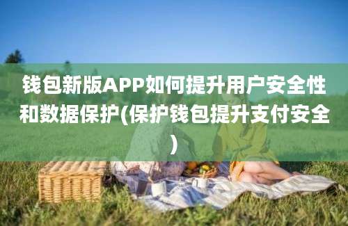 钱包新版APP如何提升用户安全性和数据保护(保护钱包提升支付安全)