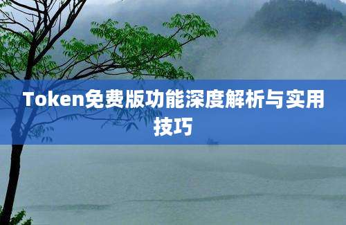 Token免费版功能深度解析与实用技巧