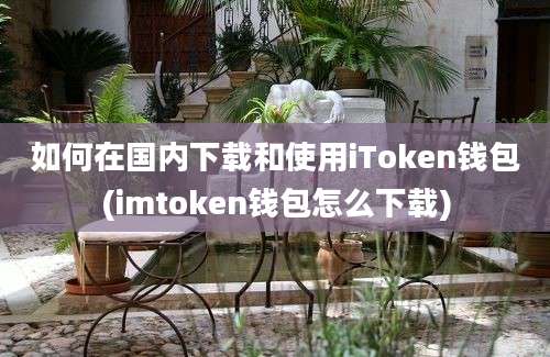 如何在国内下载和使用iToken钱包(imtoken钱包怎么下载)