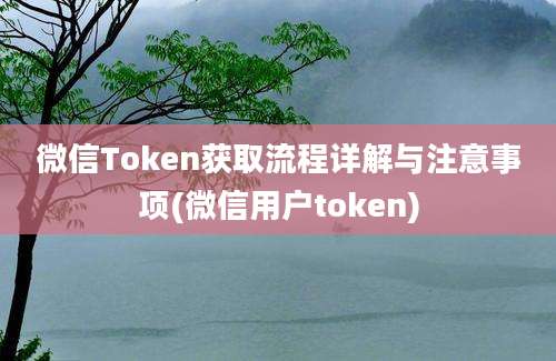 微信Token获取流程详解与注意事项(微信用户token)