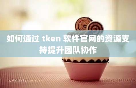 如何通过 tken 软件官网的资源支持提升团队协作