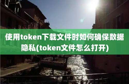 使用token下载文件时如何确保数据隐私(token文件怎么打开)