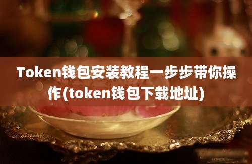 Token钱包安装教程一步步带你操作(token钱包下载地址)