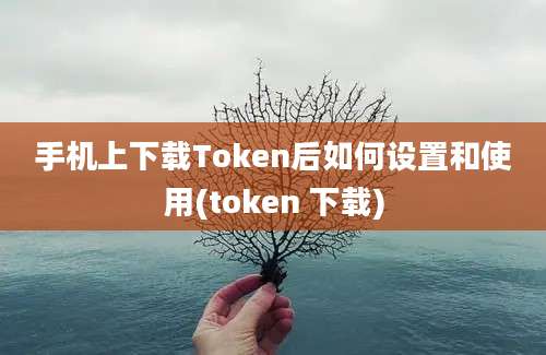 手机上下载Token后如何设置和使用(token 下载)