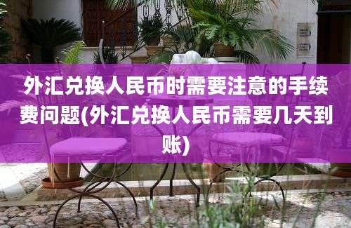 外汇兑换人民币时需要注意的手续费问题(外汇兑换人民币需要几天到账)