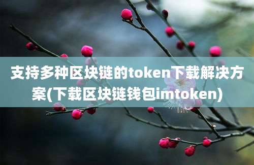 支持多种区块链的token下载解决方案(下载区块链钱包imtoken)