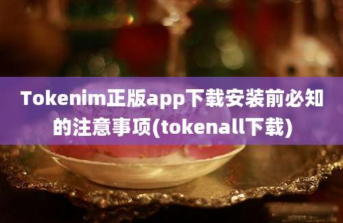 Tokenim正版app下载安装前必知的注意事项(tokenall下载)