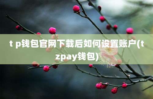 t p钱包官网下载后如何设置账户(tzpay钱包)