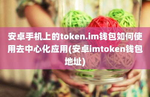 安卓手机上的token.im钱包如何使用去中心化应用(安卓imtoken钱包地址)