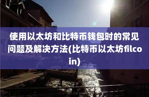 使用以太坊和比特币钱包时的常见问题及解决方法(比特币以太坊filcoin)