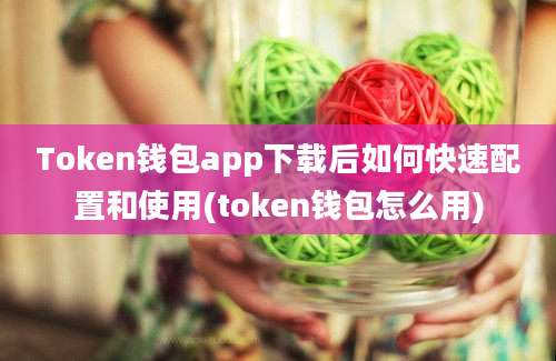 Token钱包app下载后如何快速配置和使用(token钱包怎么用)