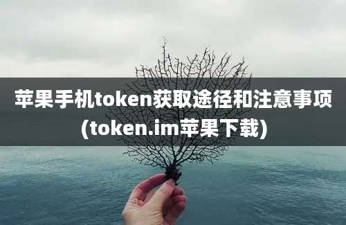 苹果手机token获取途径和注意事项(token.im苹果下载)