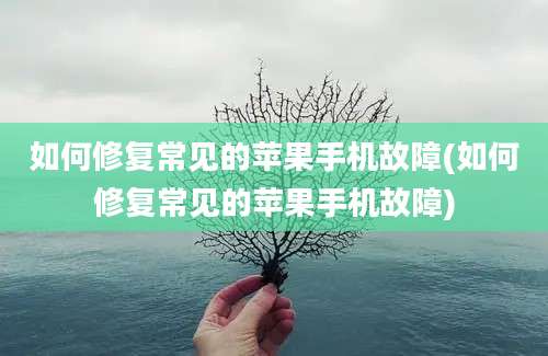 如何修复常见的苹果手机故障(如何修复常见的苹果手机故障)