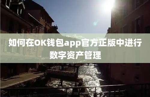 如何在OK钱包app官方正版中进行数字资产管理