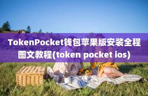 TokenPocket钱包苹果版安装全程图文教程(token pocket ios)