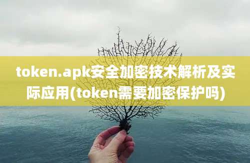 token.apk安全加密技术解析及实际应用(token需要加密保护吗)