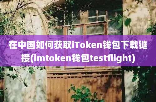 在中国如何获取iToken钱包下载链接(imtoken钱包testflight)